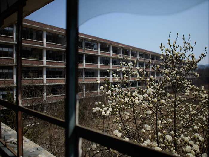 Residents of cities like Daejeon say the abandoned schools are eyesores on the landscape.