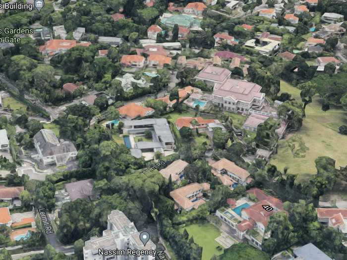 The grandeur of Nassim Road is perhaps best displayed by satellite, which shows sprawling mansions with resort-like grounds and swimming pools.