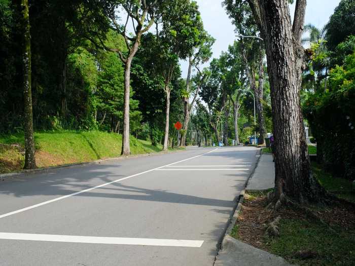 As I continued my walk up Nassim Road, the sounds of the city faded away even further and all I heard were birds and the occasional sounds of construction.