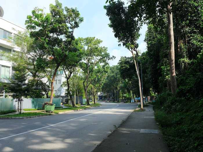 After the hustle and bustle of the Orchard Road area, stepping onto Nassim Road felt like stepping into a quiet, lush garden.