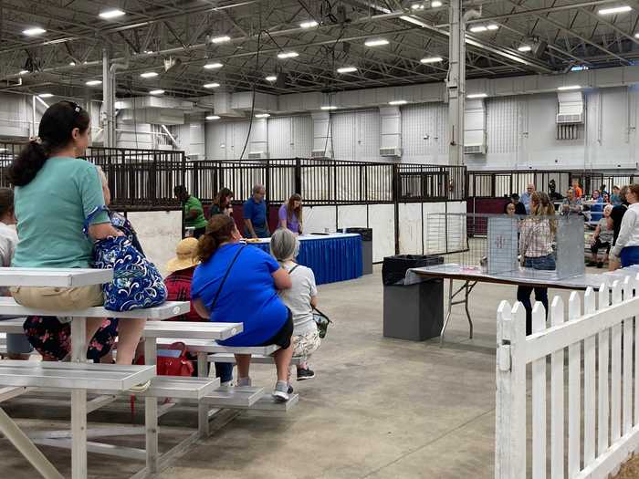 We had come across a very quiet cat judging competition. "It feels like we weren