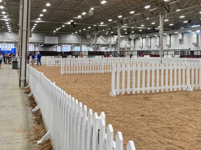 The weirdest moment at the fair came when we wandered into a big building to escape the heat. The place was mostly empty, and a reverent hush had fallen over the small group inside.