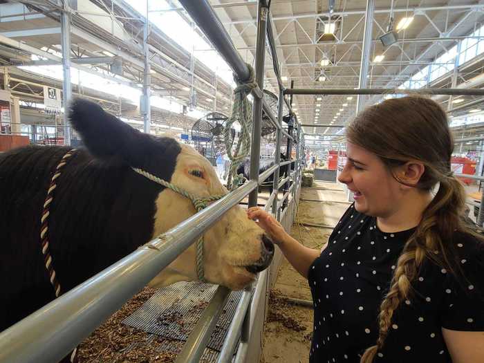 In some of the halls, we got to get up close to the animals, with their owners keeping a careful watch nearby.