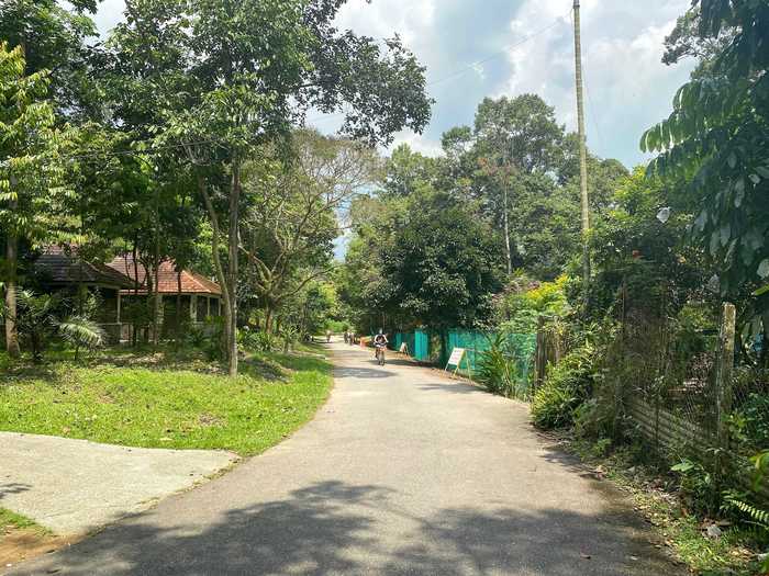 Pulau Ubin has a network of paved roads and forest paths.