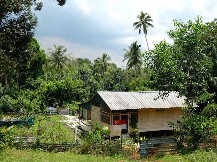 The villagers of Pulau Ubin live in wooden kampong houses and either live off traditional farming and fishing or work in the island