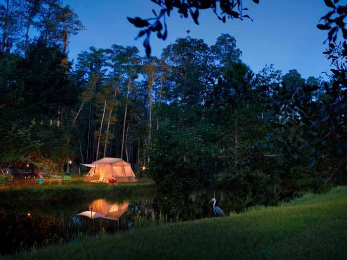 Act as your own skipper by renting a paddleboat, kayak, canoe, or motorized boat.