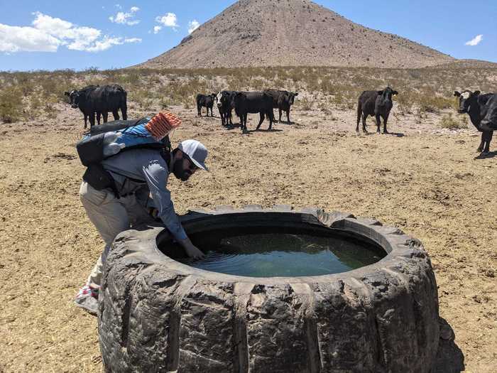 Other times, they share water with animals living nearby.