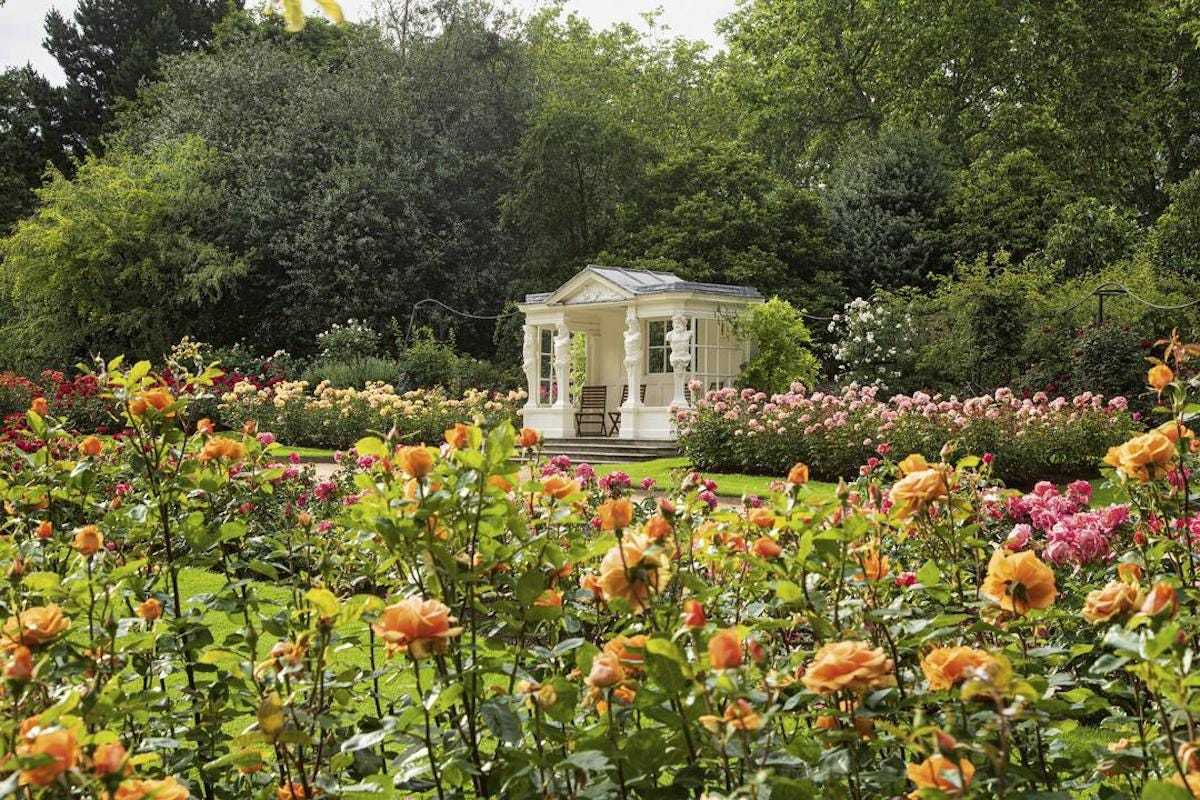 Palace rose garden