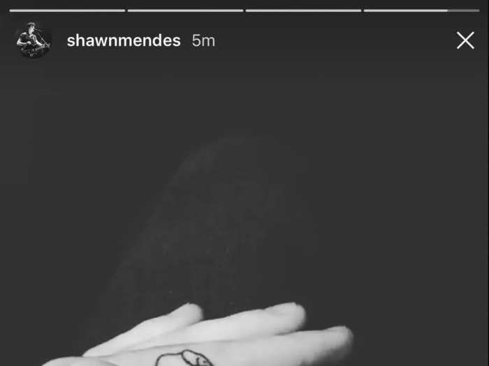 The singer and his mom, Karen Mendes, got matching elephant tattoos on their fingers.
