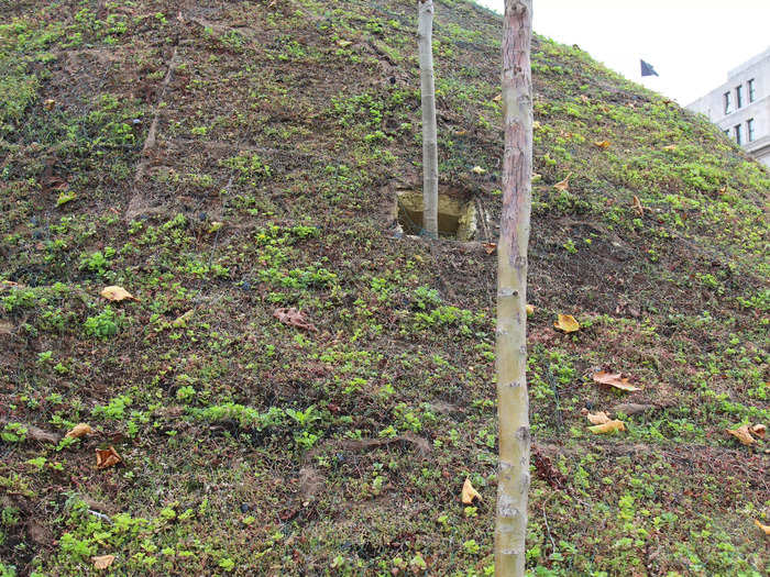 There were very few trees dotted on the mound