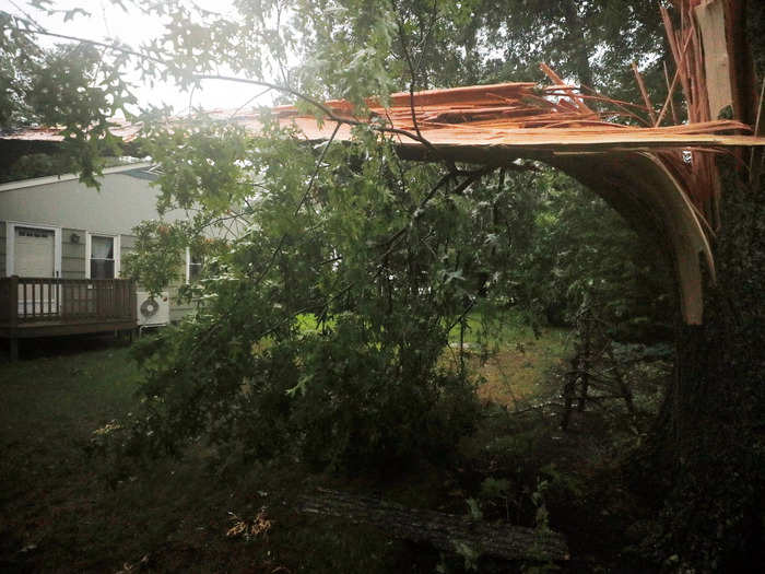 A fallen tree split in half in the backyard of a Rhode Island home