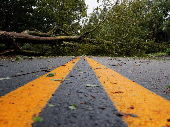 A fallen tree in Rhode Island, where Henri touched down