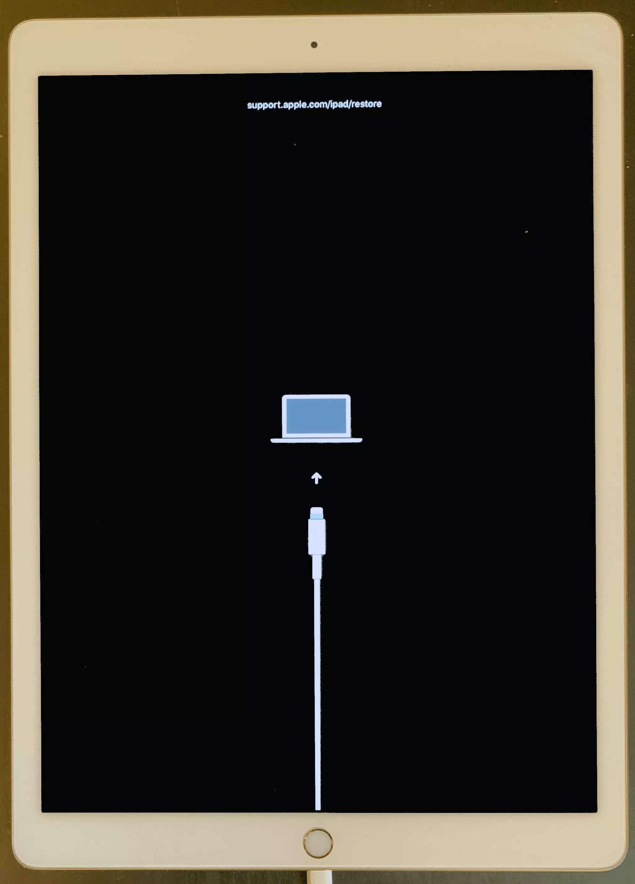 The Recovery Mode screen on an iPad, which displays a link to Apple