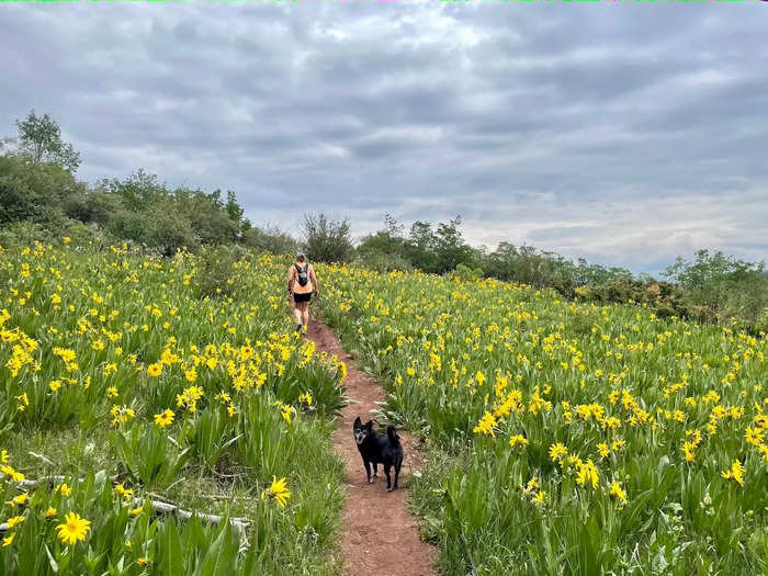 Unlike New York City, it feels like Denver and its surrounding towns have two spring seasons: one in the lower altitudes, and one in the mountains.