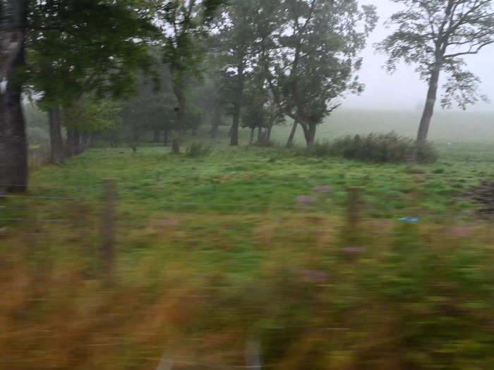 I watched the farms outside Edinburgh roll by as I ate.