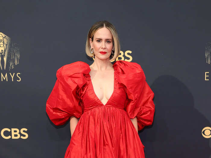 The sleeves on Sarah Paulson