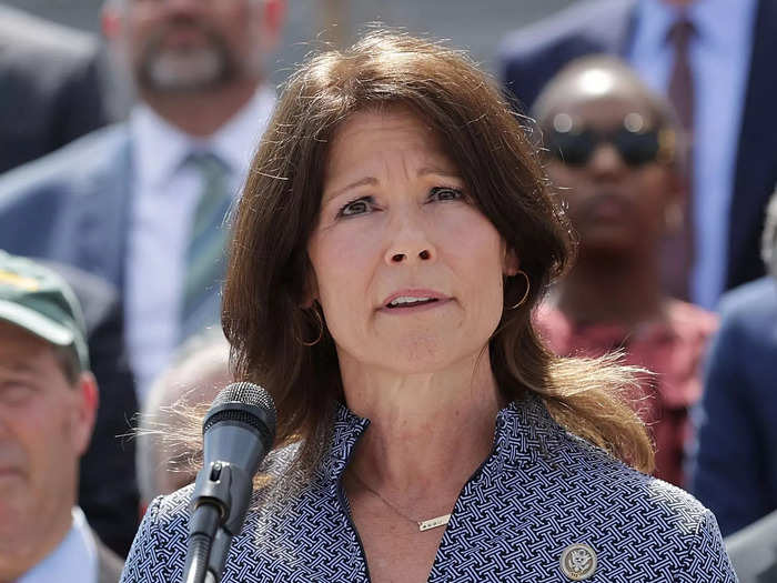 Rep. Cheri Bustos, a Democrat from Illinois