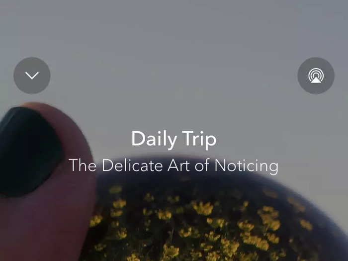 The next day, I listened to an episode in a different Calm series, the Daily Trip.