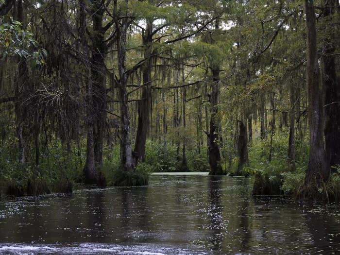 MISSISSIPPI: Creepy Creek Haunted Trail in Booneville