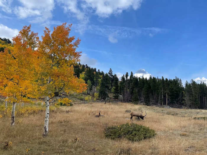 I expected breathtaking scenery, but Rocky Mountain National Park