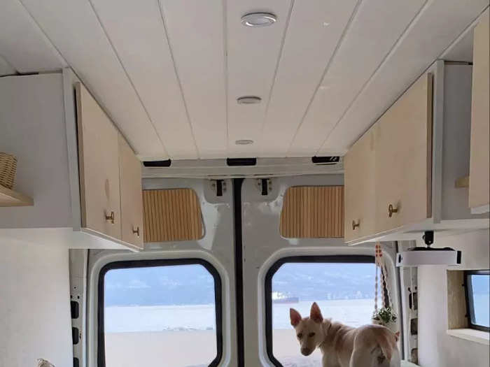 Despite having limited space, Mazzotta and Bollen have opened their tiny home to foster dogs.