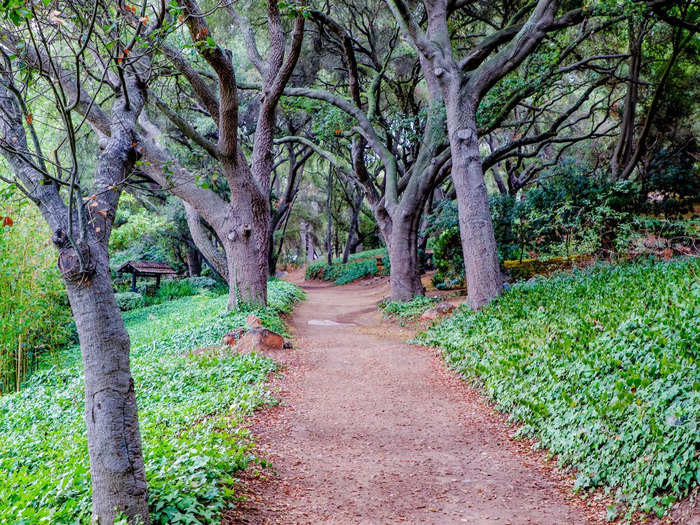 Hiking is a popular pastime for guests and is one of the first activities of the day.