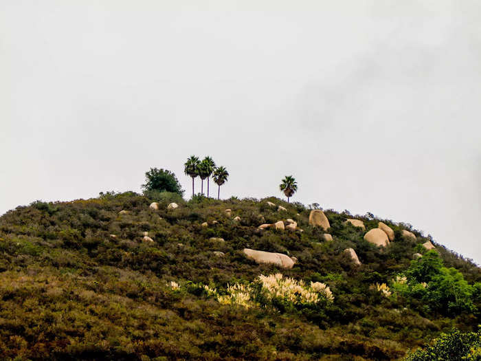 Rising high above the property is a mountain that