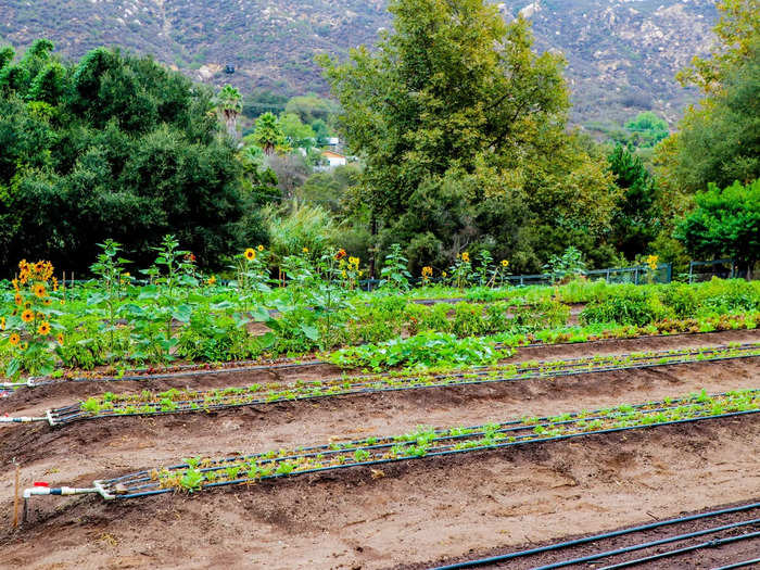 California droughts don