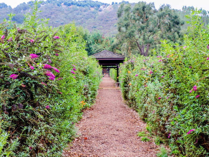 Golden Door utilizes bio-intensive farming in its garden, growing rows upon rows of fresh fruits, vegetables, herbs, and spices. "Soil is the key to good food," Van Ness said.