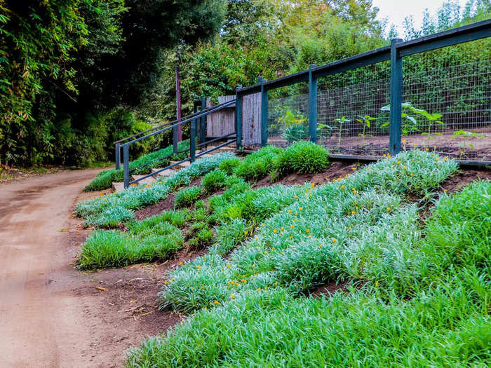 Wander down a dirt road just a few hundred feet from the guest rooms and a sprawling garden awaits from where the kitchen gets its ingredients that feed the spa.