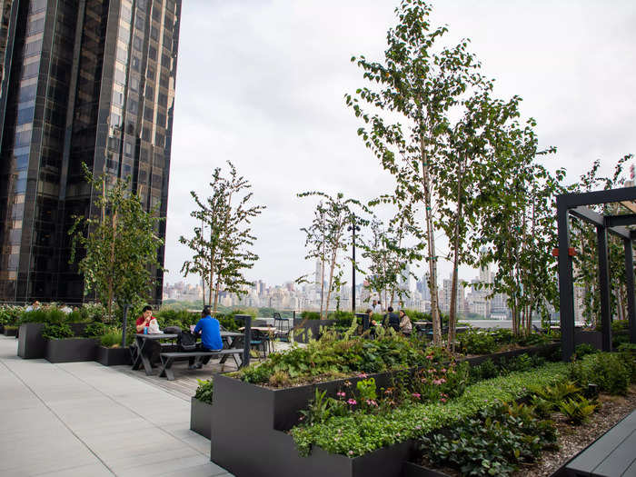 A ninth-floor terrace creates additional workstations against the backdrop of Central Park. The black building in the background is the Trump International Hotel & Tower New York.