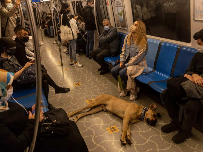 Or a mid-subway ride nap...