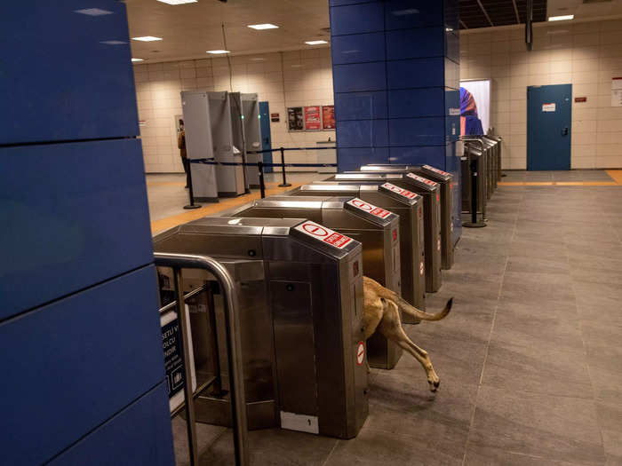 He has learned how to navigate the subway system.