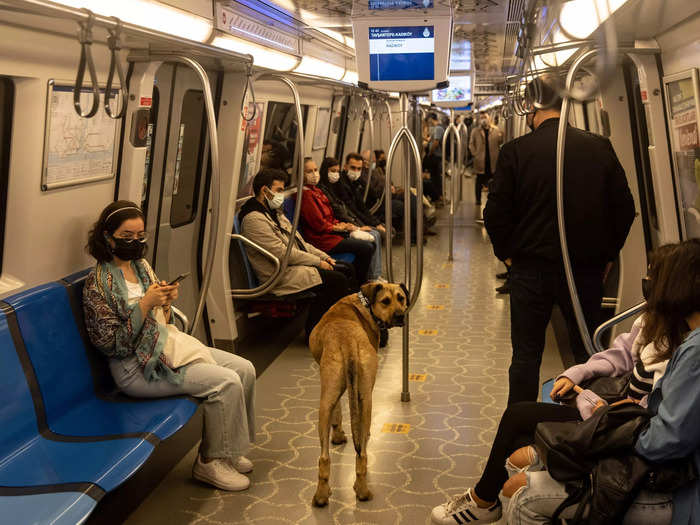 Most days, Boji passes through at least 29 metro stations and takes at least two ferry rides.