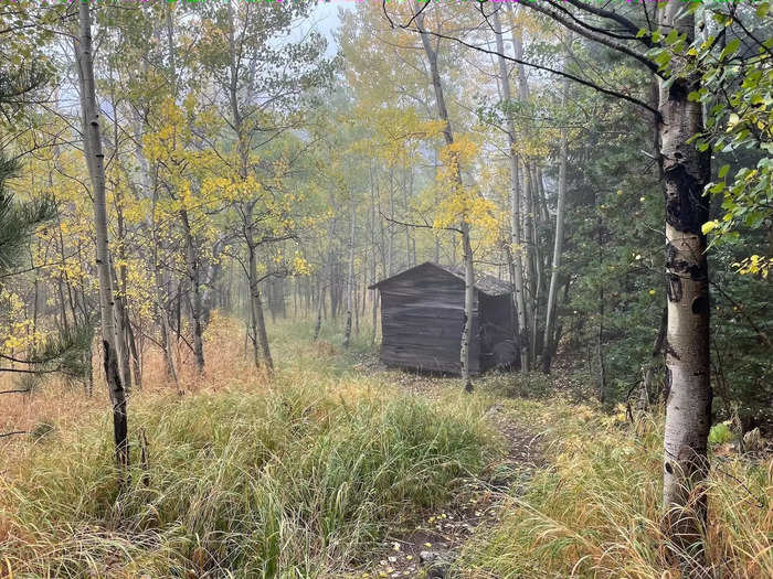 Outside of the second home, I noticed a trail leading into a forested area. I explored the area and discovered another abandoned building.