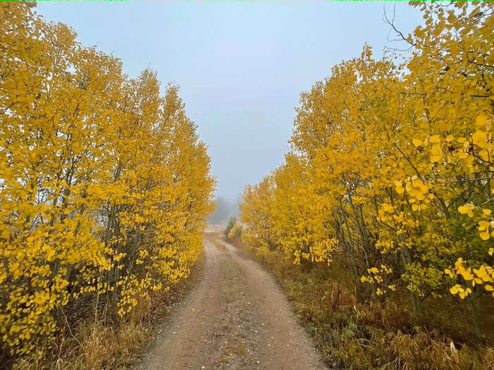 As I started the hike, I found myself completely alone in a cloud of thick fog. It felt like stepping back in time since the trails I was walking along were once old wagon roads.