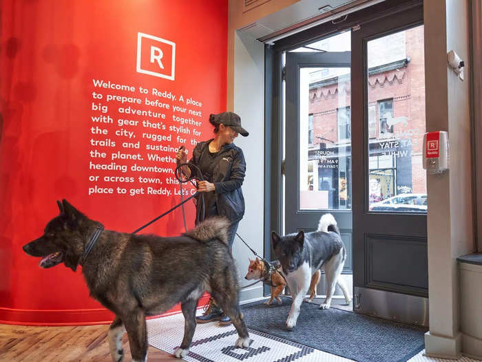 The store will sell Reddy brand merchandise and "pet-centric experiences," Petco says.