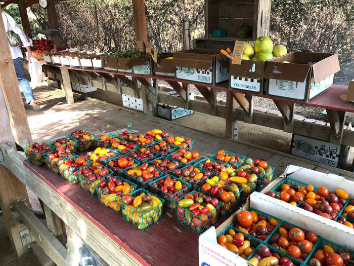 Our itinerary then guided us to Finley Farms Honor Stand, a small market on the side of the road filled with fresh produce.