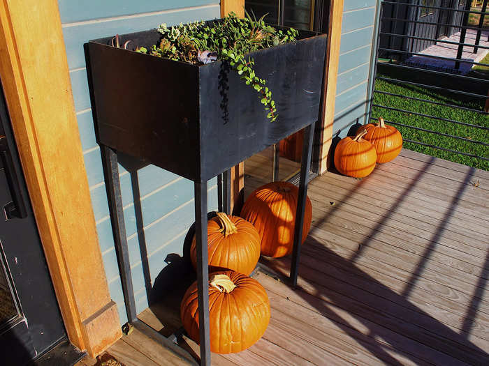 When I arrived at the Shotgun House, I saw that the front was decorated festively for the fall season.