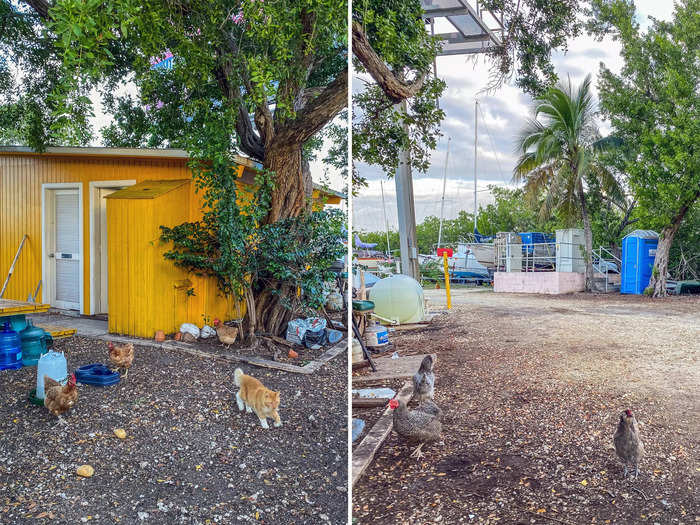 The shared bathroom was in a small, yellow building near the front of the property, and I only ran into one other guest when I first arrived. I was also frequently greeted by cats and chickens that freely roamed the property.