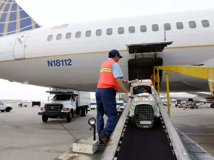 And strapping extra food and water to the top of the crate so employees can water or feed them when handling between flights.