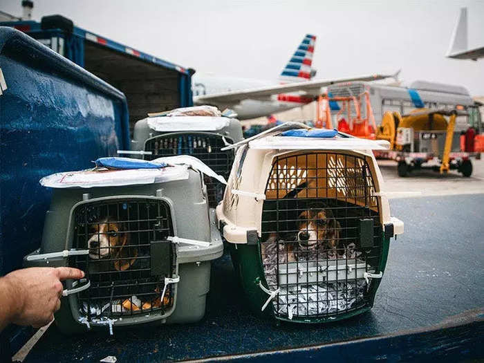 Providing a water bottle that attaches to the crate so it doesn