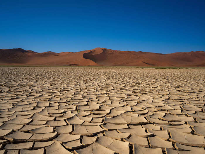 Where the Namib-Naukluft National Park dried up, we found massive plains of mud-cracked clay.