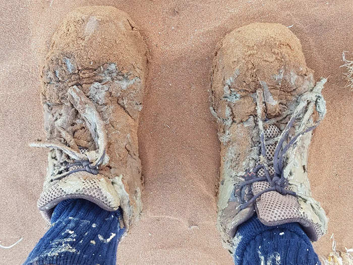 To reach the pans, you must trek through miles of desert and hard clay pans. I was surprised by how tough it was to walk through.