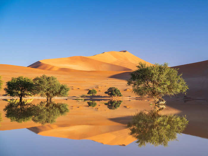 The next leg of our journey took us 300 miles north to the iconic Sossusvlei in Namib-Naukluft National Park. The formerly dry desert was now dotted with lakes of rainwater.