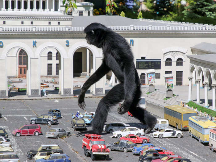 Some photos play with scale in an odd way, like this image of a monkey walking across a miniature model parking lot at Bakhchisaray Park Crimea in Miniature, a zoo in Russia with 50 model scenes.