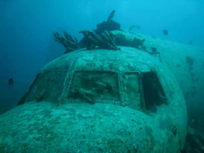 Small airliners have also been internationally sunk to become a reef, including a Convair 240 off the coast of Aruba. The 40-seater plane was sunk to 45 feet but has moved down to 80 feet after being disrupted by Hurricane Lenny in 1999.