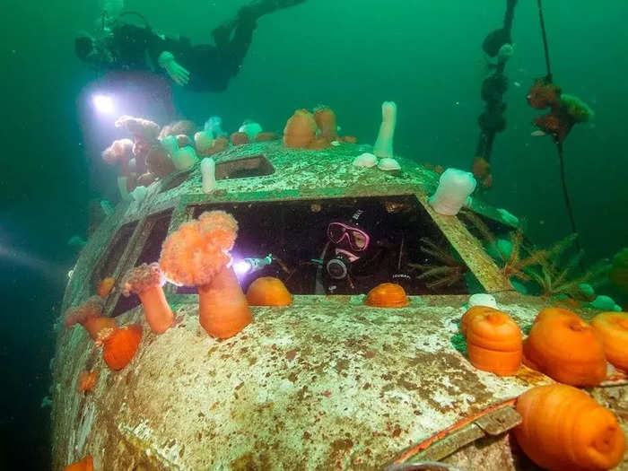 The first-ever artificial plane wreck in North America is a Boeing 737-200 that was submerged off the coast of Canada by Artificial Coral Reefs. The jet was featured on Discovery