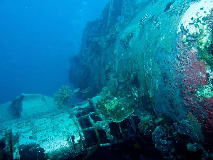 There are several crashed airplanes that have been located and used as scuba sites, like a WWII-era Japanese Navy seaplane off the coast of Palau in Micronesia...