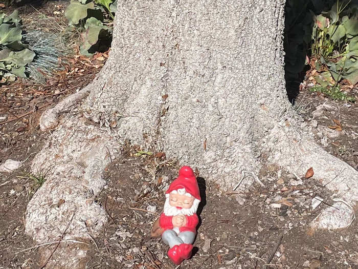 All through December, the town hides an adorable little nisse (the Danish word for gnome) and encourages tourists and locals to try and find him.